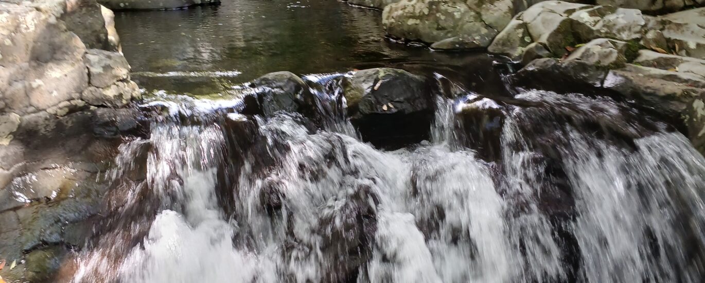 Trouvez la voiture idéale