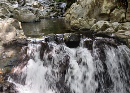 Trouvez la voiture idéale